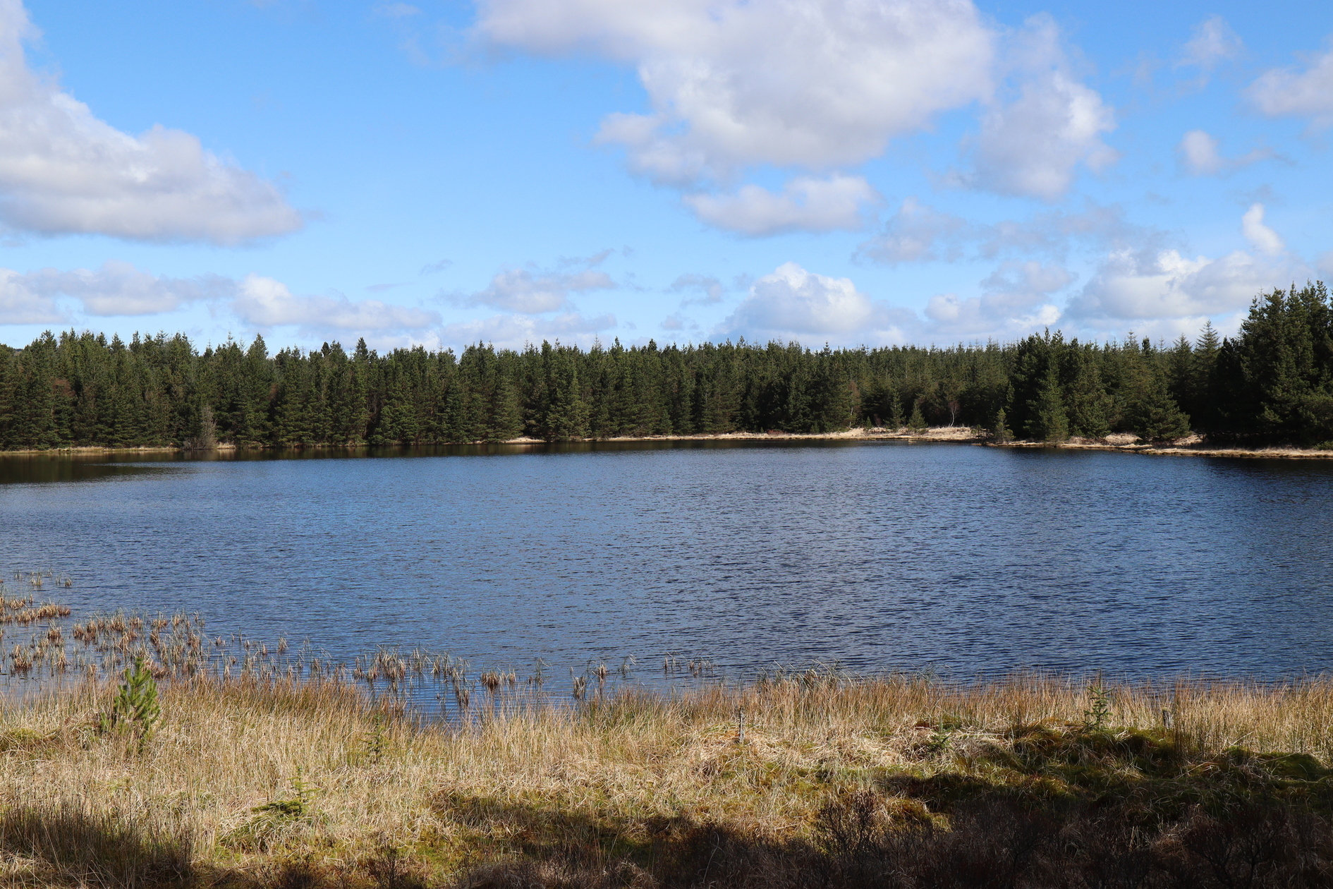 Loughalee Lake