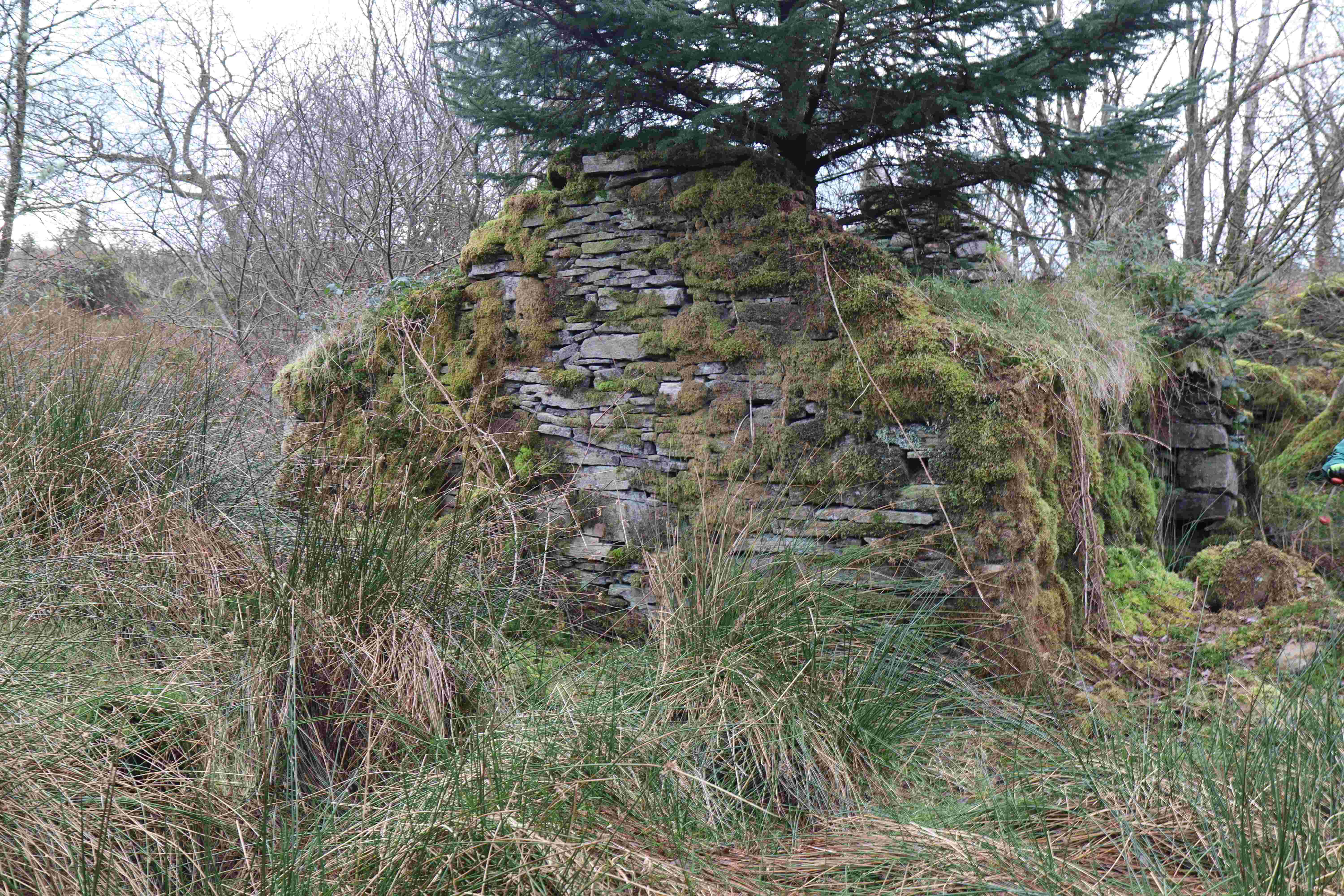 Shed Derrybrien East