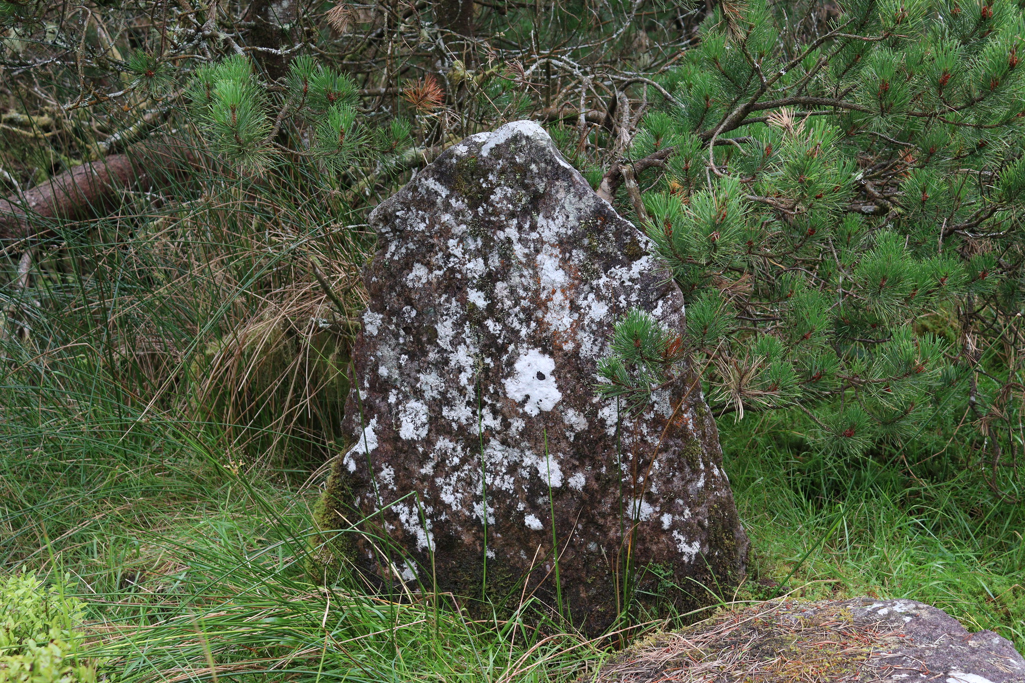 The Earl's Chair